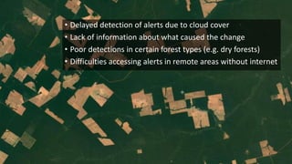 Lessons learned as a provider of near real-time deforestation alerts