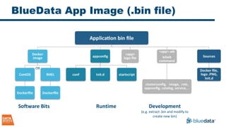 BlueData App Image (.bin file)
RuntimeSoftware Bits
OR
Development
(e.g. extract .bin and modify to
create new bin)
 