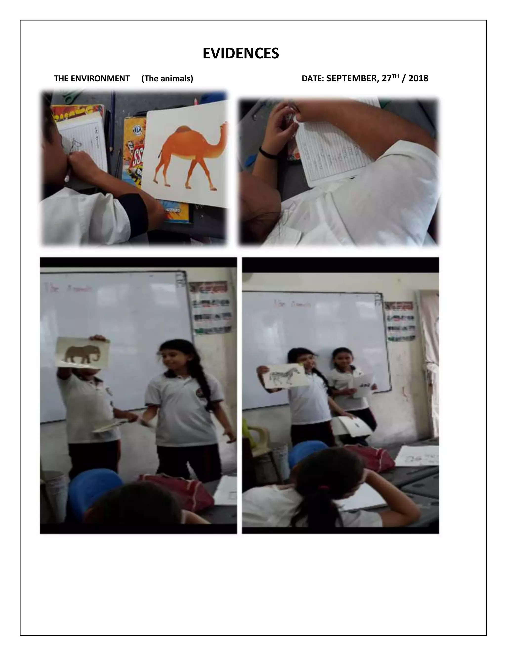 EVIDENCES
THE ENVIRONMENT (The animals) DATE: SEPTEMBER, 27TH / 2018
 