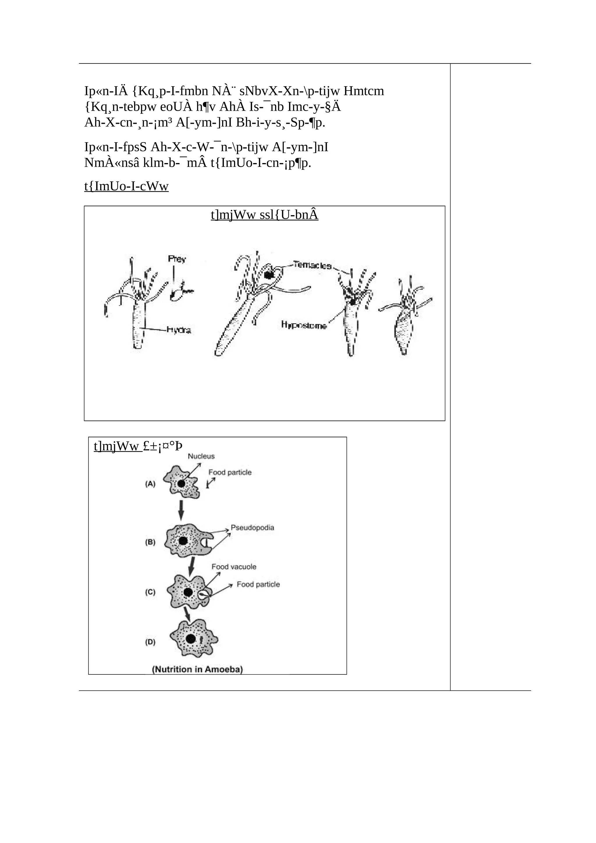 Ip«n-IÄ {Kq¸p-I-fmbn NÀ¨ sNbvX-Xn-p-tijw Hmtcm 
{Kq¸n-tebpw eoUÀ h¶v AhÀ Is-¯nb Imc-y-§Ä 
Ah-X-cn-¸n-¡m³ A[-ym-]nI Bh-i-y-s¸-Sp-¶p. 
Ip«n-I-fpsS Ah-X-c-W-¯n-p-tijw A[-ym-]nI 
NmÀ«nsâ klm-b-¯mÂ t{ImUo-I-cn-¡p¶p. 
t{ImUo-I-cWw 
t]mjWw ssl{U-bnÂ 
t]mjWw £±¡¤°Þ 
 