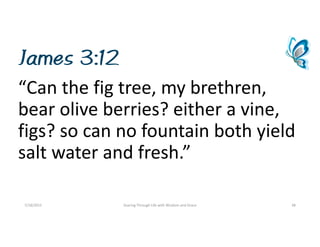James 3:12
“Canthefigtree,mybrethren,
bearoliveberries?eitheravine,
figs?socannofountainbothyield
saltwaterandfresh.”
7/18/2015 SoaringThroughLifewithWisdomandGrace 38
 