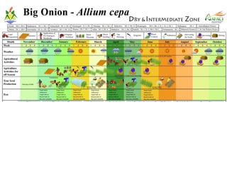 Managing agricultural production in different agro ecological regions | PDF