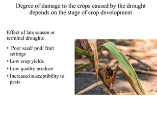Managing agricultural production in different agro ecological regions | PDF
