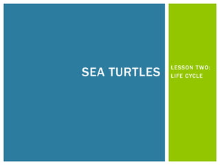 LESSON T WO:
SEA TURTLES   LIFE CYCLE
 