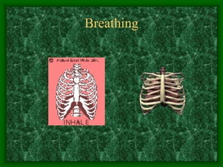 Breathing
 