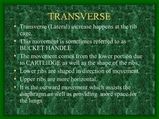TRANSVERSE
• Transverse (Lateral) increase happens at the rib
cage.
• This movement is sometimes referred to as
BUCKET HANDLE.
• The movement comes from the lower portion due
to CARTLIDGE as well as the shape of the ribs.
• Lower ribs are shaped in direction of movement.
• Upper ribs are more horizontal.
• It is the outward movement which assists the
diaphragm as well as providing more space for
the lungs
 