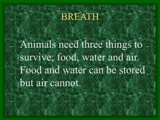 BREATH
Animals need three things to
survive; food, water and air.
Food and water can be stored
but air cannot.
 