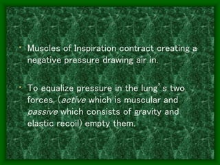 • Muscles of Inspiration contract creating a
negative pressure drawing air in.
• To equalize pressure in the lung’s two
forces, (active which is muscular and
passive which consists of gravity and
elastic recoil) empty them.
 