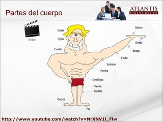http://www.youtube.com/watch?v=NrXNV1l_Flw Partes del cuerpo