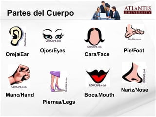 Oreja/Ear Ojos/Eyes Cara/Face Pie/Foot Mano/Hand Piernas/Legs Boca/Mouth Partes del Cuerpo Nariz/Nose