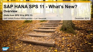1© 2014 SAP AG or an SAP affiliate company. All rights reserved.
SAP HANA SPS 11 - What’s New?
Overview
SAP HANA Product Management – Lori Vanourek December, 2015
(Delta from SPS 10 to SPS 11)
 