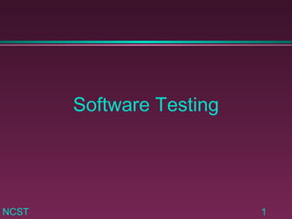 Software Testing 