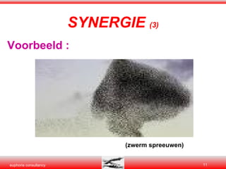 Voorbeeld : (zwerm spreeuwen) SYNERGIE  (3) 