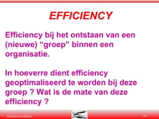 EFFICIENCY Efficiency bij het ontstaan van een (nieuwe) “groep” binnen een organisatie. In hoeverre dient efficiency geoptimaliseerd te worden bij deze groep ? Wat is de mate van deze efficiency ? 