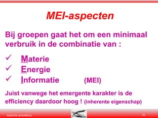 MEI-aspecten Bij groepen gaat het om een minimaal verbruik in de combinatie van : M aterie E nergie I nformatie (MEI) Juist vanwege het emergente karakter is de efficiency daardoor hoog !   (inherente eigenschap) 