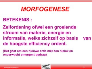 MORFOGENESE BETEKENIS : Zelfordening ofwel een groeiende stroom van materie, energie en informatie, welke zichzelf op basis  van de hoogste efficiency ordent. (Het gaat om een nieuwe orde met een nieuw en  onverwacht emergent gedrag) 