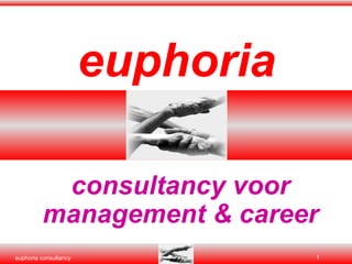 euphoria consultancy voor management & career 