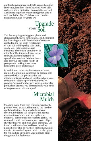 our local environment and yield a more beautiful
landscape, healthier plants, reduced water bills,
and even some protection from wildfires as well.
A less toxic approach to yard and garden care is
well worth the effort. This brochure contains
many possibilities for you to try.


                            Upgrade
                         your
                              Soil
The first step in growing great plants and
eliminating the need for pesticides and chemical
fertilizers is good soil. Two inches of compost
applied to the top six to eight inches
of your soil will help clay soils drain,
sandy soils hold moisture, and
introduce a beneficial population of
microbes. The improved structure of
soil will allow root systems to
sprawl, slow erosion, hold nutrients,
and improve the overall health of
your plants, making them more
resistant to pests and disease.

In addition to reducing the amount of water
required to maintain your lawn or garden, soil
amended with compost may harbor
microorganisms capable of breaking down toxic
compounds already present where you’re
growing. So even if you’ve used some questionable
products in the past, you’ll be scrubbing your earth
when you amend with compost!


                              Microbial
                                Mulch
Mulches made from yard trimmings not only
prevent weed growth, eliminating the need to
apply herbicides, they also help prevent
erosion, moderate soil temperature, reduce
evaporation of water and strengthen a
microbial community beneficial to plants. You
can mulch with coarse compost, wood chips,
shredded leaves, and even grass clippings. Use
it and you’ll water less and have healthier
plants better able to ward off problems without
the aid of chemical agents. Mulch is also great
for controlling unwanted vegetation in areas
designated for firebreaks.
 
