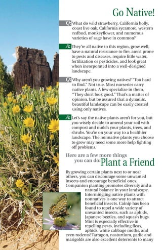 Go Native!
Q: What do wild strawberry, California holly,
   coast live oak, California sycamore, western
   redbud, monkeyflower, and numerous
   varieties of sage have in common?

A: They’re all native to this region, grow well,
   have a natural resistance to fire, aren’t prone
   to pests and diseases, require little water,
   fertilization or pesticides, and look great
   when incorporated into a well-designed
   landscape.

Q: Why aren’t you growing natives? “Too hard
   to find.” Not true. Most nurseries carry
   native plants. A few specialize in them.
   “They don’t look good.” That’s a matter of
   opinion, but be assured that a dynamic,
   beautiful landscape can be easily created
   using only natives.

A: Let’s say the native plants aren’t for you, but
   you wisely decide to amend your soil with
   compost and mulch your plants, trees, and
   shrubs. You’re on your way to a healthier
   landscape. The nonnative plants you choose
   to grow may need some more help fighting
   off problems.

Here are a few more things
   you can do:
                    Plant a Friend
By growing certain plants next to or near
others, you can discourage some unwanted
insects and encourage beneficial ones.
Companion planting promotes diversity and a
          natural balance in your landscape.
          Intermingling native plants with
          nonnatives is one way to attract
          beneficial insects. Catnip has been
          found to repel a wide variety of
          unwanted insects, such as aphids,
          Japanese beetles, and squash bugs.
          Mint is especially effective in
          repelling pests, including fleas,
          aphids, white cabbage moths, and
even rodents! Tarragon, nasturtium, garlic and
marigolds are also excellent deterrents to many
 