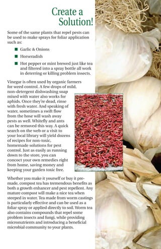 Create a
                          Solution!
Some of the same plants that repel pests can
be used to make sprays for foliar application
such as:
    I Garlic & Onions
    I Horseradish
    I Hot pepper or mint brewed just like tea
      and filtered into a spray bottle all work
      in deterring or killing problem insects.

Vinegar is often used by organic farmers
for weed control. A few drops of mild,
non-detergent dishwashing soap
mixed with water also works for
aphids. Once they’re dead, rinse
with fresh water. And speaking of
water, sometimes a swift flow
from the hose will wash away
pests as well. Whitefly and ants
can be removed this way. A quick
search on the web or a visit to
your local library will yield dozens
of recipes for non-toxic,
homemade solutions for pest
control. Just as easily as running
down to the store, you can
concoct your own remedies right
from home, saving money and
keeping your garden toxic free.

Whether you make it yourself or buy it pre-
made, compost tea has tremendous benefits as
both a growth enhancer and pest repellent. Any
mature compost will make a nice tea when
steeped in water. Tea made from worm castings
is particularly effective and can be used as a
foliar spray or applied directly to soil. Worm tea
also contains compounds that repel some
problem insects and fungi, while providing
micronutrients and introducing a beneficial
microbial community to your plants.
 