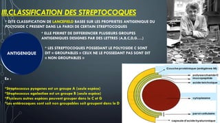 III.CLASSIFICATION DES STREPTOCOQUES
ANTIGENIQUE
* DITE CLASSIFICATION DE LANCEFIELD BASEE SUR LES PROPRIETES ANTIGENIQUE DU
POLYOSIDE C PRESENT DANS LA PAROI DE CERTAIN STREPTOCOQUES
* ELLE PERMET DE DIFFERENCIER PLUSIEURS GROUPES
ANTIGENIQUES DESIGNES PAR DES LETTRES (A,B,C,D,G….)
* LES STREPTOCOQUES POSSEDANT LE POLYOSIDE C SONT
DIT « GROUPABLES » CEUX NE LE POSSEDANT PAS SONT DIT
« NON GROUPABLES »
Ex :
*Streptococcus pyogenes est un groupe A (seule espèce)
*Streptococcus agalactiae est un groupe B (seule espèce)
*Plusieurs autres espèces peuvent grouper dans le C et G
*Les entérocoques sont soit non groupables soit groupent dans le D
 