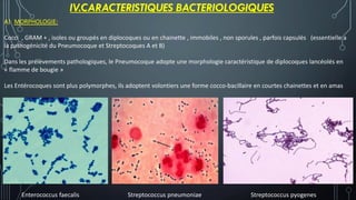 A) MORPHOLOGIE:
Cocci , GRAM + , isoles ou groupés en diplocoques ou en chainette , immobiles , non sporules , parfois capsulés (essentielle a
la pathogénicité du Pneumocoque et Streptocoques A et B)
Dans les prélèvements pathologiques, le Pneumocoque adopte une morphologie caractéristique de diplocoques lancéolés en
« flamme de bougie »
Les Entérocoques sont plus polymorphes, ils adoptent volontiers une forme cocco-bacillaire en courtes chainettes et en amas
IV.CARACTERISTIQUES BACTERIOLOGIQUES
Enterococcus faecalis Streptococcus pneumoniae Streptococcus pyogenes
 