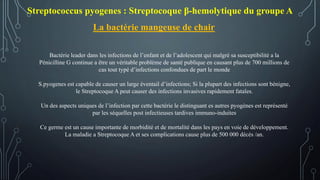 Streptococcus pyogenes : Streptocoque β-hemolytique du groupe A
Bactérie leader dans les infections de l’enfant et de l’adolescent qui malgré sa susceptibilité a la
Pénicilline G continue a être un véritable problème de santé publique en causant plus de 700 millions de
cas tout typé d’infections confondues de part le monde
S.pyogenes est capable de causer un large éventail d’infections; Si la plupart des infections sont bénigne,
le Streptocoque A peut causer des infections invasives rapidement fatales.
Un des aspects uniques de l’infection par cette bactérie le distinguant es autres pyogènes est représenté
par les séquelles post infectieuses tardives immuno-induites
Ce germe est un cause importante de morbidité et de mortalité dans les pays en voie de développement.
La maladie a Streptocoque A et ses complications cause plus de 500 000 décès /an.
La bactérie mangeuse de chair
 