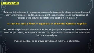 II.DEFINITION
le terme « streptocoque » regroupe un ensemble hétérogène de microorganismes d’un point
de vue taxinomique et bactériologique , ayant en commun leur aspect microscopique et
l’absence d’une enzyme du métabolisme aérobie « la Catalase »
ce sont des cocci a Gram + organisés en chainettes Catalase négative
Les Genres Streptococcus et Enterococcus en sont les principaux impliqués en santé humaine et
animale, par ailleurs, les Streptocoques sont l’un des principaux constituants des microbiotes
buccaux et entériques.
Plusieurs membres de ce groupe sont d’intérêt industriel et alimentaire
 