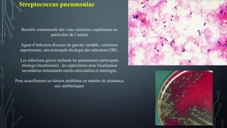 Streptococcus pneumoniae
Bactérie commensale des voies aériennes supérieures en
particulier de l’enfant
Agent d’infection diverses de gravité variable, volontiers
opportuniste, une principale étiologie des infections ORL.
Les infections graves incluent les pneumonies (principale
étiologie bactérienne) , les septicémies avec localisation
secondaires notamment osetéo-articulaires et méningés.
Pose actuellement un sérieux problème en matière de résistance
aux antibiotiques
 