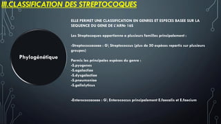 III.CLASSIFICATION DES STREPTOCOQUES
Phylogénétique
ELLE PERMET UNE CLASSIFICATION EN GENRES ET ESPECES BASEE SUR LA
SEQUENCE DU GENE DE L’ARNr 16S
Les Streptocoques appartienne a plusieurs familles principalement :
-Streptococcaceae : G Streptococcus (plus de 50 espèces repartis sur plusieurs
groupes)
Parmis les principales espèces du genre :
-S.pyogenes
-S.agalactiae
-S.dysgalactiae
-S.pneumoniae
-S.gallolyticus
-Enterococcaceae : G Enterococcus principalement E.faecalis et E.faecium
 