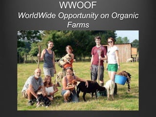 WWOOF 
WorldWide Opportunity on Organic 
Farms 
 