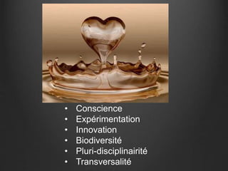 • Conscience 
• Expérimentation 
• Innovation 
• Biodiversité 
• Pluri-disciplinairité 
• Transversalité 
 
