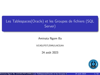 Les Tablespaces(Oracle) et les Groupes de fichiers (SQL
Server)
Aminata Ngom Ba
UCAD/FST/DMI/LACGAA
24 août 2023
Aminata Ngom Ba (UCAD/FST/DMI/LACGAA)
Les Tablespaces(Oracle) et les Groupes de fichiers (SQL Server)
24 août 2023 1 / 16
 
