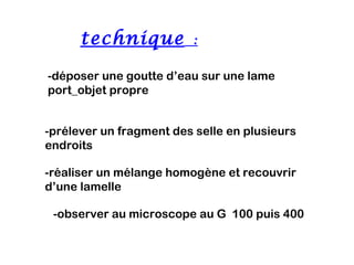 technique  :

-déposer une goutte d’eau sur une lame
port_objet propre


-prélever un fragment des selle en plusieurs
endroits

-réaliser un mélange homogène et recouvrir
d’une lamelle

 -observer au microscope au G 100 puis 400
 