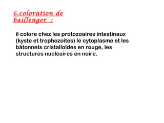 6.coloration de
baillenger :

il colore chez les protozoaires intestinaux
(kyste et trophozoites) le cytoplasme et les
bâtonnets cristalloïdes en rouge, les
structures nucléaires en noire.
 