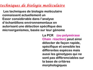 techniques de biologie moléculaire
  Les techniques de biologie moléculaire
 connaissent actuellement un
 Essor considérable dans l’analyse
 d’échantillons environnementaux en
 autorisant une détection spécifique des
 microorganismes, basée sur leur génome
                         La PCR (ou polymérase
                         Chain réaction) peut ainsi
                         détecter de façon rapide,
                         spécifique et sensible les
                         différentes espèces mais
                         aussi les génotypes qui ne
                         sont pas différenciables sur
                         la base de critères
                         morphologiques
 