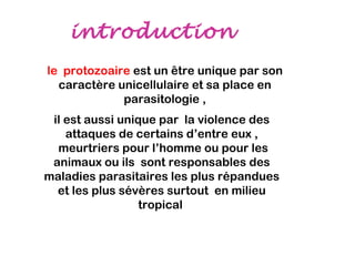 introduction
le protozoaire est un être unique par son
  caractère unicellulaire et sa place en
             parasitologie ,
 il est aussi unique par la violence des
    attaques de certains d’entre eux ,
  meurtriers pour l’homme ou pour les
 animaux ou ils sont responsables des
maladies parasitaires les plus répandues
  et les plus sévères surtout en milieu
                  tropical
 