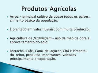 







Arroz – principal cultivo de quase todos os países,
alimento básico da população;
É plantado em vales fluviais, com muita produção;
Agricultura de Jardinagem – uso de mão de obra e
aproveitamento do solo;

Borracha, Café, Cana-de-açúcar, Chá e Pimentado-reino, produtos importantes, voltados
principalmente a exportação.

 