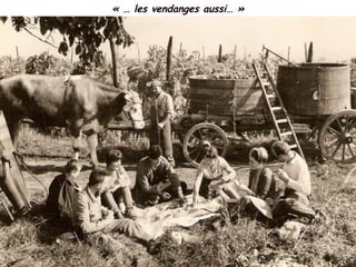« … les vendanges aussi… »
 