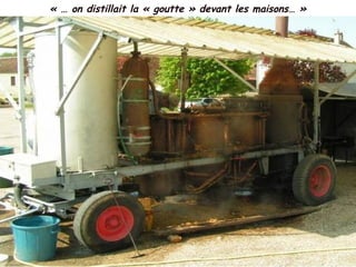 « … on distillait la « goutte » devant les maisons… »
 