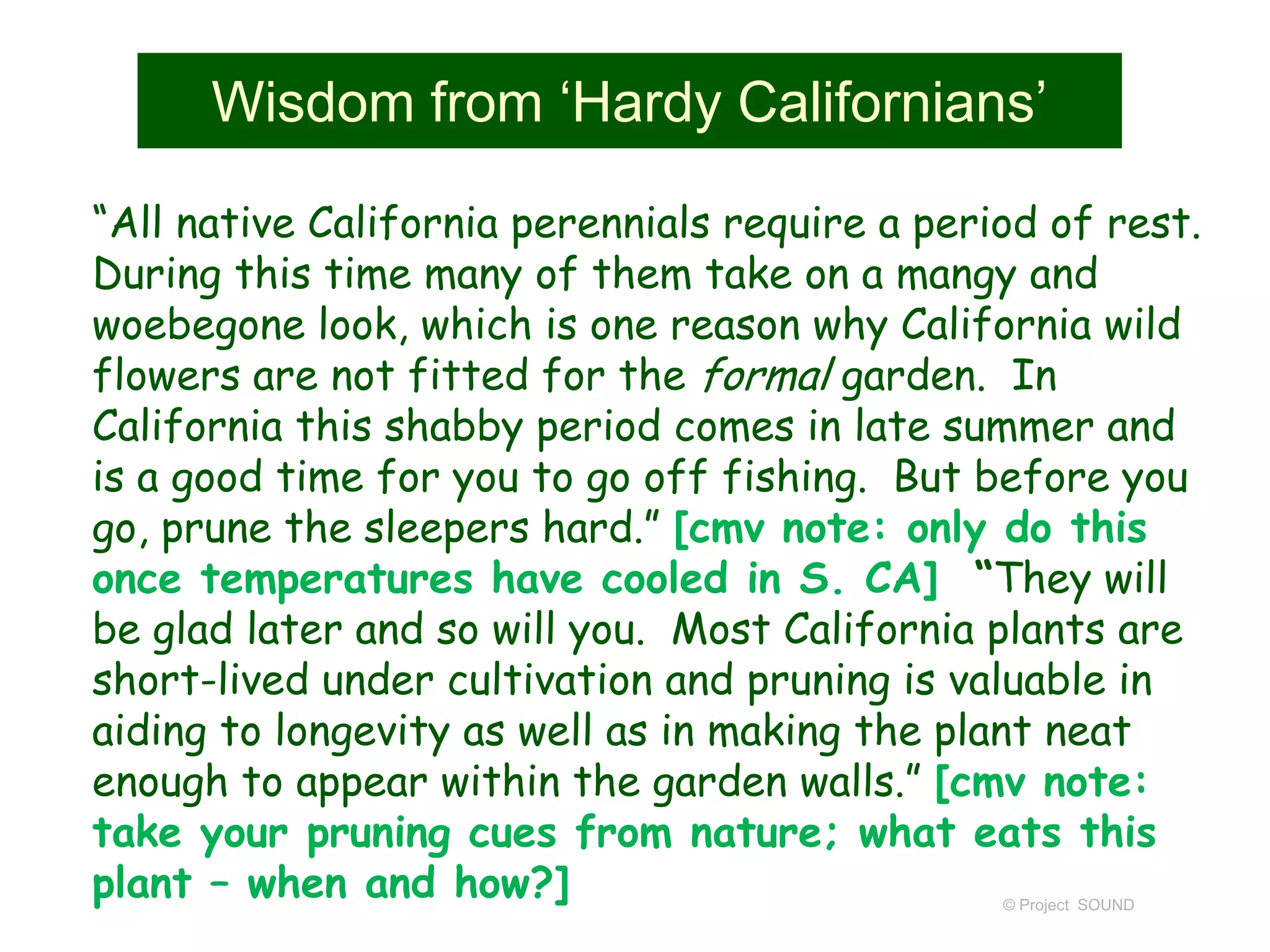 Wisdom from ‘Hardy Californians’
“All native California perennials require a period of rest.
During this time many of them take on a mangy and
woebegone look, which is one reason why California wild
flowers are not fitted for the formal garden. In
California this shabby period comes in late summer and
is a good time for you to go off fishing. But before you
go, prune the sleepers hard.” [cmv note: only do this
once temperatures have cooled in S. CA] “They will
be glad later and so will you. Most California plants are
short-lived under cultivation and pruning is valuable in
aiding to longevity as well as in making the plant neat
enough to appear within the garden walls.” [cmv note:
take your pruning cues from nature; what eats this
plant – when and how?] © Project SOUND
 