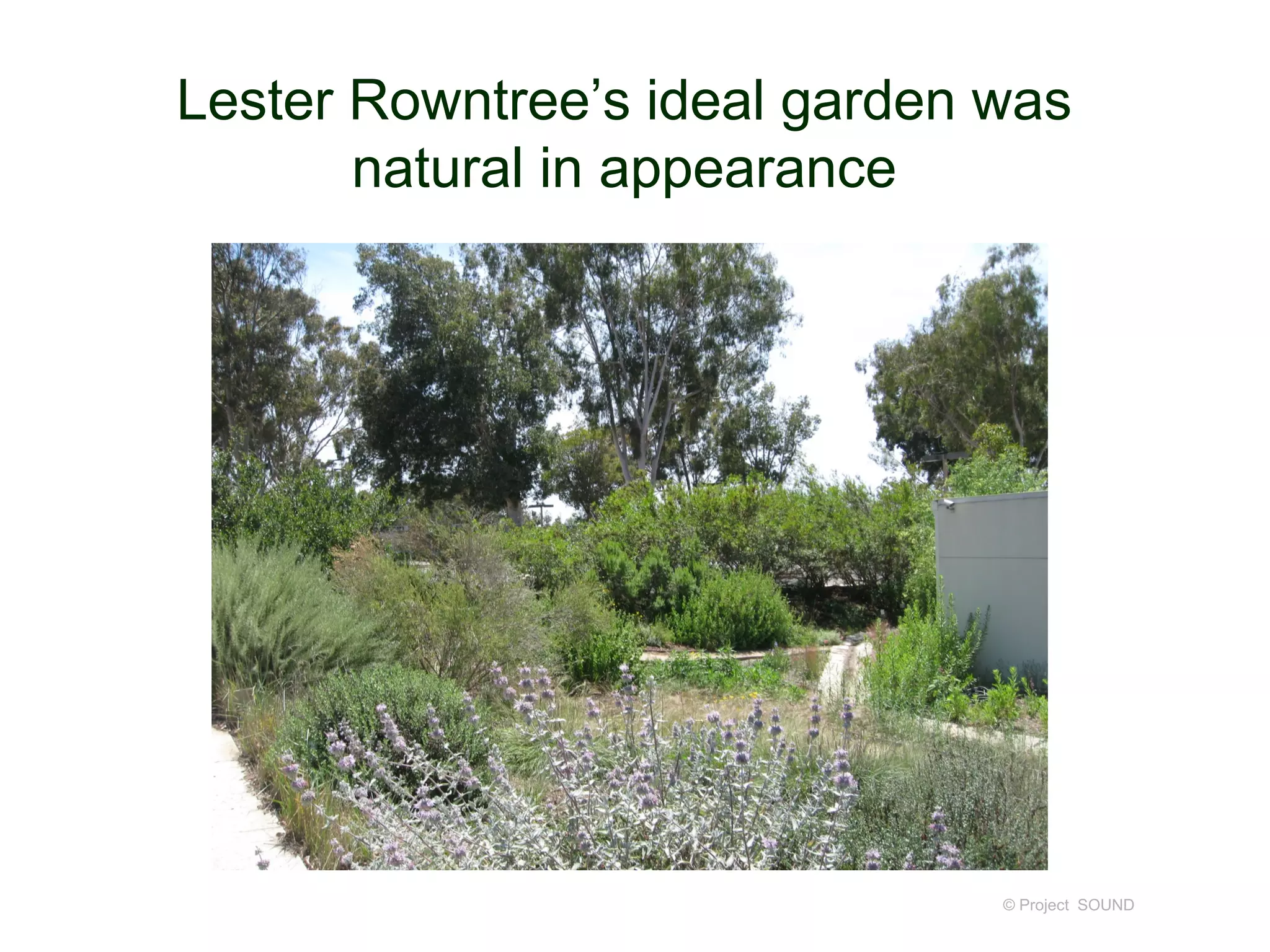 Lester Rowntree’s ideal garden was
natural in appearance
© Project SOUND
 