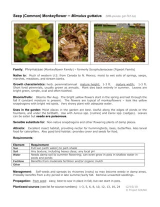 Seep (Common) Monkeyflower – Mimulus guttatus (MIM-yoo-luss guh-TAY-tus)
Family: Phrymaceae (Monkeyflower Family) – formerly Scrophulareaceae (Figwort Family)
Native to: Much of western U.S. from Canada to N. Mexico; moist to wet soils of springs, seeps,
marshes, meadows, and stream banks.
Growth characteristics: herb. perennial/annual mature height: 1-3 ft. mature width: 1-3 ft.
Short lived perennials, usually grown as annuals. Plant dies back entirely in summer. Leaves are
bright green, simple, oval and often toothed.
Blooms/fruits: Blooms Mar-Aug. The bright yellow flowers start in the spring and last through the
fall if constant moisture is present. The flowers are typical of monkeyflowers – look like yellow
snapdragons with bright red spots. Very showy plant with adequate water.
Uses in the garden: Moist places in the garden are best. Useful along the edges of ponds or the
fountains, and under the birdbath. Use with Juncus spp. (rushes) and Carex spp. (sedges). Leaves
can be eaten but seeds are poisonous.
Sensible substitute for: Non-native snapdragons and other flowering plants of damp places.
Attracts: Excellent insect habitat, providing nectar for hummingbirds, bees, butterflies. Also larval
food for caterpillars. Also good bird habitat: provides cover and seeds for food.
Requirements:
Element Requirement
Sun Full sun (with water) to part-shade
Soil Any texture, including heavy clays; any local pH
Water Needs damp soil to summer flowering; can even grow in pots in shallow water in
pools and ponds
Fertilizer Benefits from moderate fertilizer and/or organic mulch
Other
Management: Self-seeds and spreads by rhizomes (roots) so may become weedy in damp areas.
Probably benefits from a dry period in late summer/early fall. Remove unwanted seedlings.
Propagation: from seed: easy; best to sow in place in fall, but can start in pots.
Plant/seed sources (see list for source numbers): 1-3, 5, 6, 8, 10, 12, 13, 16, 24 12/10/10
© Project SOUND
 