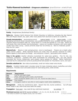*Sulfur-flowered buckwheat – Eriogonum umbellatum (air-ee-OG-oh-num um-bell-LAY-tum)
Family: Polygonaceae (Buckwheat Family)
Native to: Western North America from British Columbia to California, including the San Gabriel
Mtns and Mojave Desert; dry, open, often rocky places from sea level to alpine (to 12,000 ft).
Growth characteristics: perennial/sub-shrub mature height: 1-3 ft. mature width: 1-3 ft.
Spreading sub-shrub whose characteristics vary greatly among its many varieties and sub-species.
Theodore Payne Foundation sells var. munzii which is 1 ft tall and spreads to 2-3 ft wide. Stems are
half-woody (like most shrubby local buckwheats). Leaves are rounded, evergreen with some water,
usually hairy when young. Leaves primarily basal but not entirely so. Slow to moderate growth –
may live 20+ years.
Blooms/fruits: Blooms in late spring/summer, June to July/August. Flowers are a bright sulfur
yellow (lemon yellow). While individual flowers are small, they are densely clustered on stalks;
flowers appear to float above the foliage. Very attractive in bloom, particularly when massed.
Uses in the garden: Another attractive buckwheat for water-wise gardens. Fine for hot, dry
conditions, containers. Combine with other buckwheats for contrasting color; use with natural
associates like Yarrow, Goldenrods, warm-season native grasses for habitat. Native Californians
used leaf tea for colds/stomach aches & poultice/dried leaf powder for rheumatism, burns, skin pain.
Sensible substitute for: Non-native buckwheats, small non-native water-wise shrubs.
Attracts: Excellent habitat plant: provides nectar for bees (including native), butterflies and other
pollinators. Provides cover and seeds (food) for seed-eating birds, small animals.
Requirements:
Element Requirement
Sun Sun to very light shade.
Soil Most, although prefers rocky; any local pH.
Water Very occasional (Water Zone 1-2); var. munzii can take Zone 2
Fertilizer Not needed
Other Inorganic mulch or very thin (1 inch) organic mulch when establishing.
Management: Pretty low maintenance plant. Doesn’t like hot, humid conditions. Cut off dead
flower heads in fall, when birds have eaten the seeds.
Propagation: from seed: may need 60 day cold/moist treatment by cuttings: ??
Plant/seed sources (see list for source numbers): 1, 8, 11, 13, 14, 16, 20, 24, 46 4/29/14
* not native to western Los Angeles County, but a CA native © Project SOUND
 