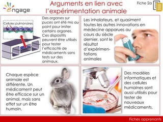 Fiches apprenants
Fiche 2aArguments en lien avec
l’expérimentation animale
Des organes sur
puces ont été mis au
point pour imiter
certains organes.
Ces dispositifs
peuvent être utilisés
pour tester
l’efficacité de
médicaments sans
tests sur des
animaux.
Les inhalateurs, et quasiment
toutes les autres innovations en
médecine apparues au
cours du siècle
dernier, sont le
résultat
d’expérimen-
tations
animales
Cellules pulmonaires
Chaque espèce
animale est
différente. Un
médicament peut
être efficace sur un
animal, mais sans
effet sur un être
humain.
Des modèles
informatiques et
des cellules
humaines sont
aussi utilisés pour
tester de
nouveaux
médicaments.
 
