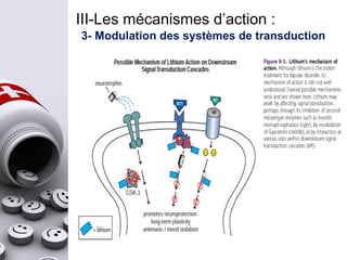 III-Les mécanismes d’action :
3- Modulation des systèmes de transduction
 