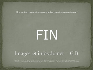 Souvent un peu moins cons que les humains ces animaux !