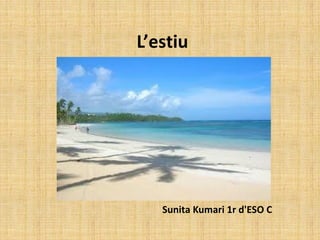 L’estiu
Sunita Kumari 1r d'ESO C
 