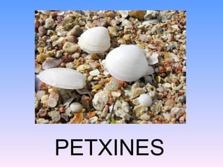 PETXINES
 