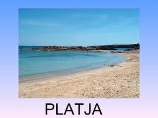 PLATJA
 